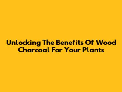 Unlocking The Benefits Of Wood Charcoal For Your Plants