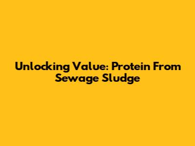 Unlocking Value: Protein From Sewage Sludge