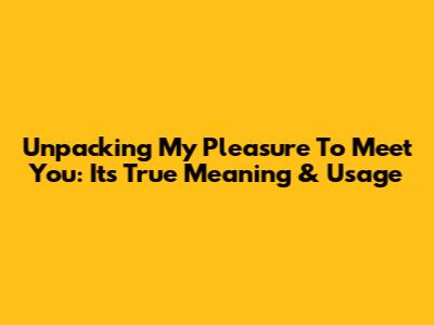 Unpacking 'My Pleasure To Meet You': Its True Meaning & Usage