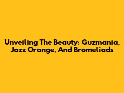 Unveiling The Beauty: Guzmania, Jazz Orange, And Bromeliads