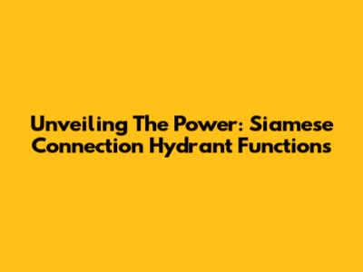 Unveiling The Power: Siamese Connection Hydrant Functions
