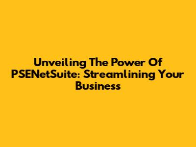 Unveiling The Power Of PSENetSuite: Streamlining Your Business