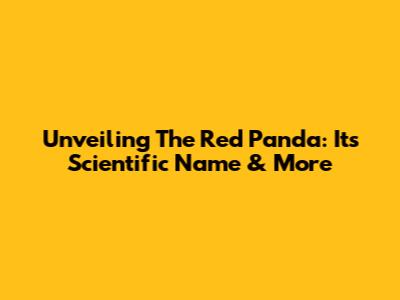 Unveiling The Red Panda: Its Scientific Name & More