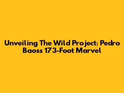 Unveiling The Wild Project: Pedro Baos's 173-Foot Marvel