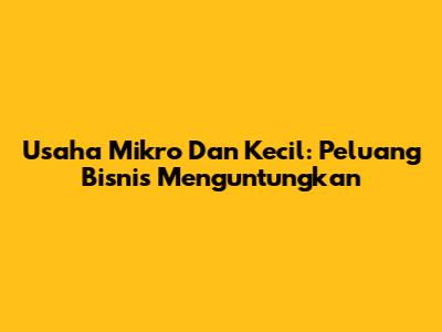 Usaha Mikro Dan Kecil: Peluang Bisnis Menguntungkan