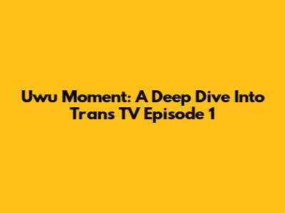Uwu Moment: A Deep Dive Into Trans TV Episode 1