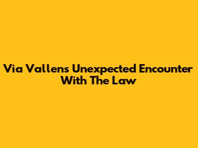 Via Vallen's Unexpected Encounter With The Law