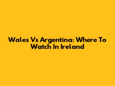Wales Vs Argentina: Where To Watch In Ireland