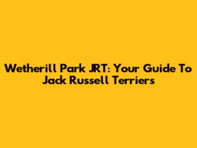 Wetherill Park JRT: Your Guide To Jack Russell Terriers