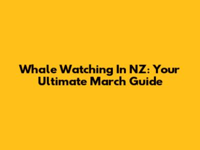 Whale Watching In NZ: Your Ultimate March Guide
