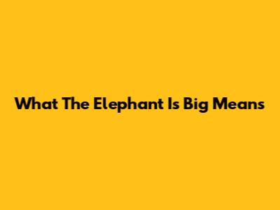 What 'The Elephant Is Big' Means