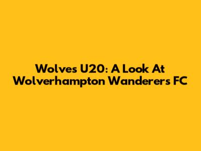 Wolves U20: A Look At Wolverhampton Wanderers FC