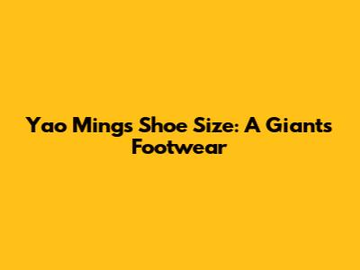 Yao Ming's Shoe Size: A Giant's Footwear