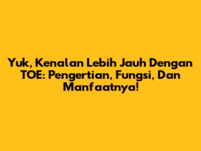 Yuk, Kenalan Lebih Jauh Dengan TOE: Pengertian, Fungsi, Dan Manfaatnya!
