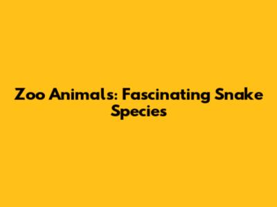 Zoo Animals: Fascinating Snake Species